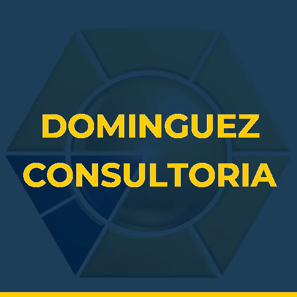 DOMINGUEZ CONSULTORIA