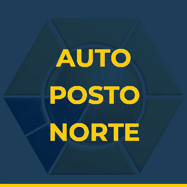 AUTO POSTO NORTE SUL