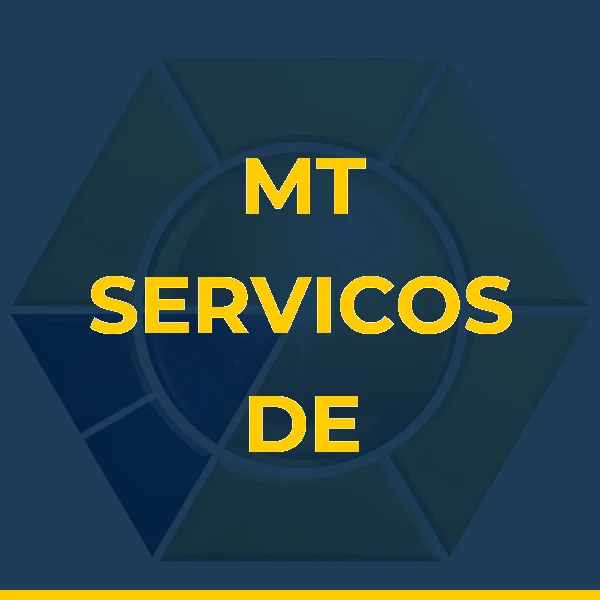 Logo de MT SERVICOS DE MANUTENCAO DE GUINDASTES LTDA