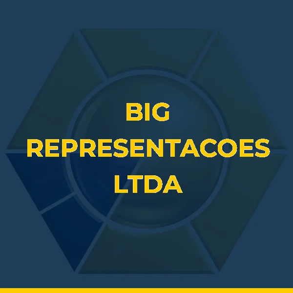 BIG REPRESENTACOES LTDA