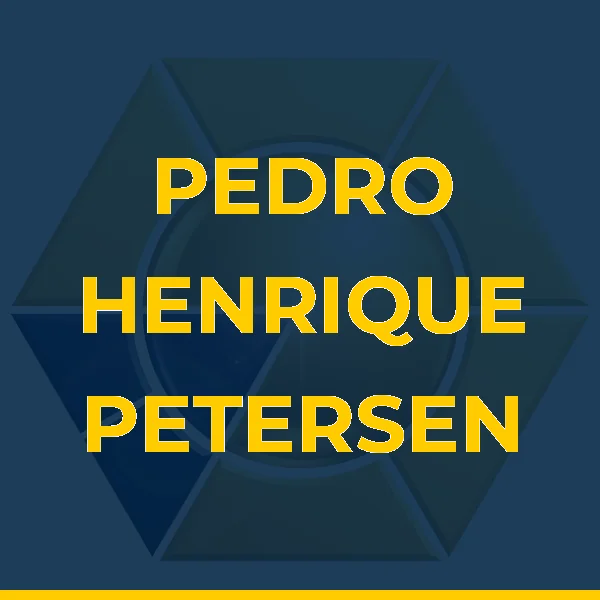 Logo de PEDRO HENRIQUE PETERSEN RODRIGUES LTDA