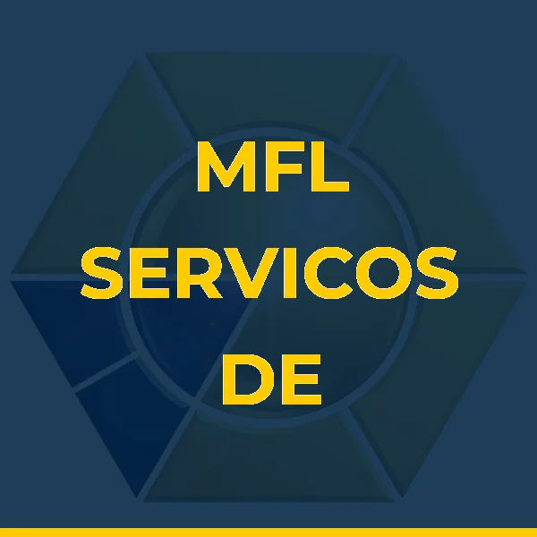 MFL SERVICOS DE APOIO ADMINISTRATIVO LTDA