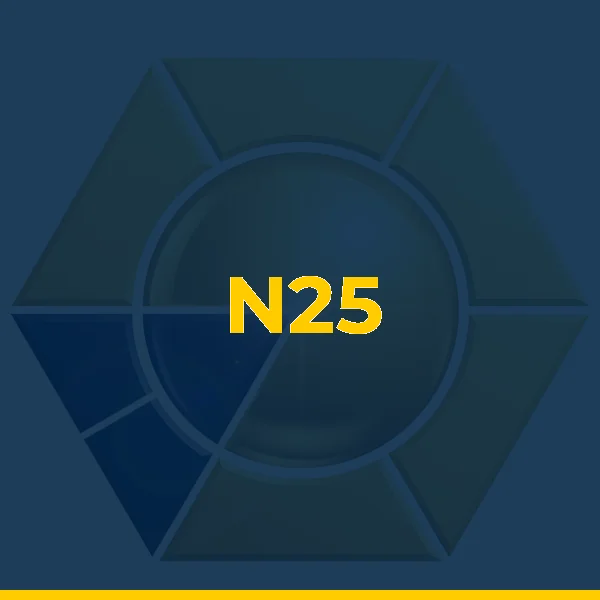 Logo de NEIMAR LOPES DA SILVA N25