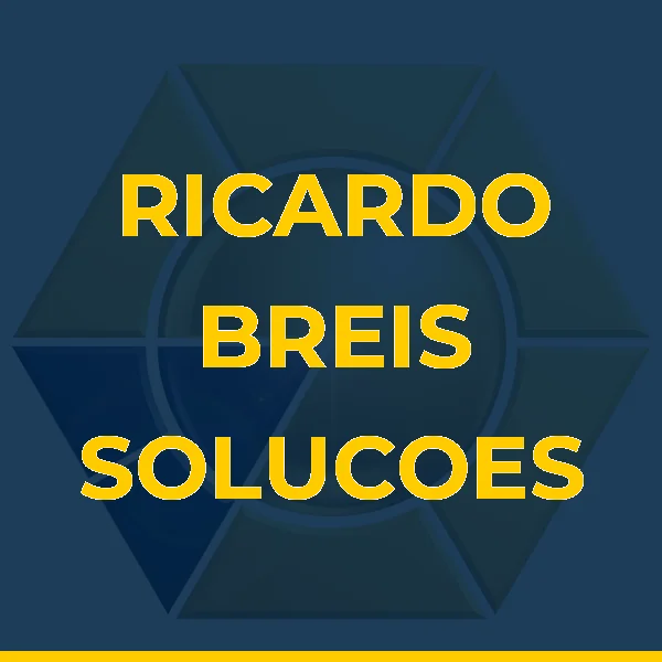 Logo de RICARDO BREIS SOLUCOES EMPRESARIAIS LTDA