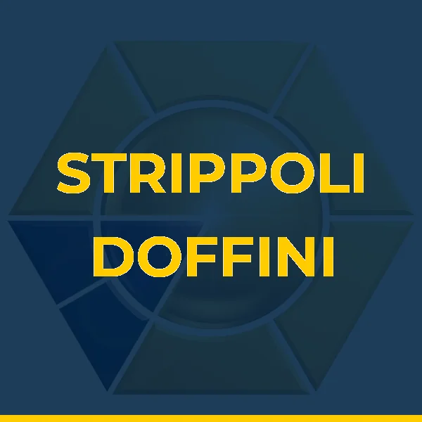 Logo de STRIPPOLI DOFFINI SERVICOS MEDICOS LTDA