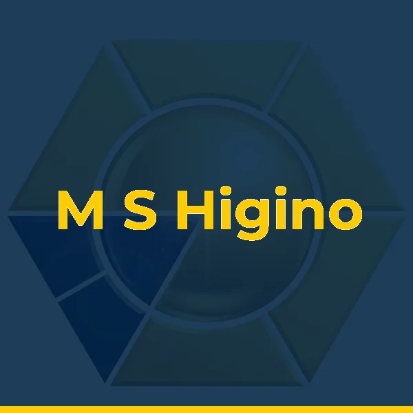 Logo de M S Higino