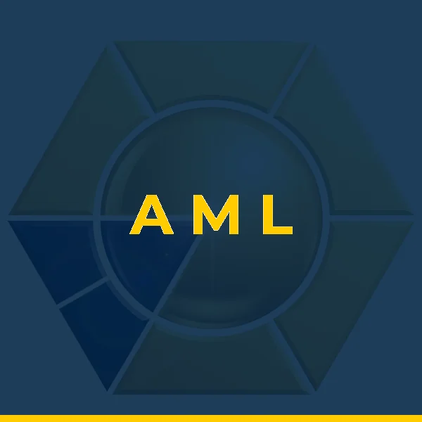 Logo de A M L DE TOLEDO LTDA