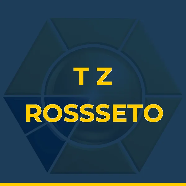 Logo de T Z ROSSSETO & R R LIMA LTDA