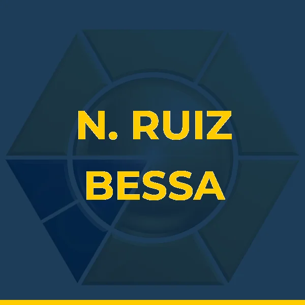 Logo de N. RUIZ BESSA JUNIOR LTDA
