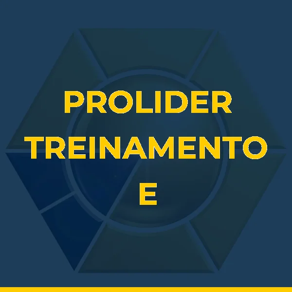 PROLIDER TREINAMENTO E CONSULTORIA LTDA