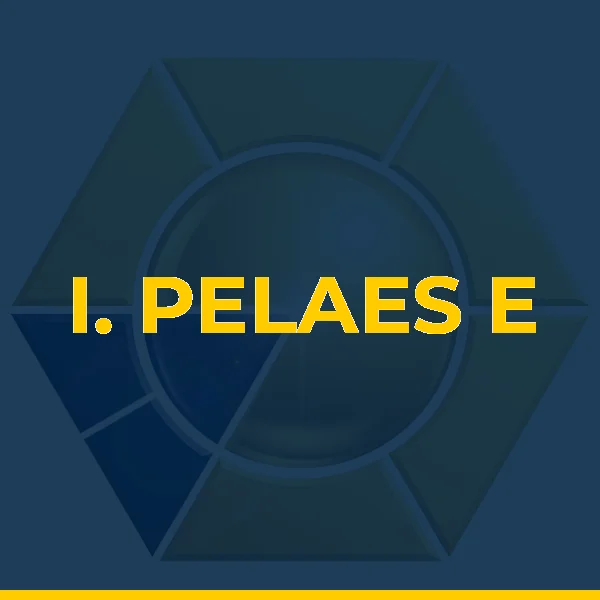 Logo de I. PELAES E K. GONDIM LTDA