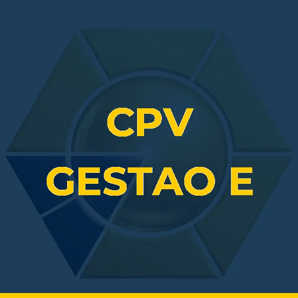Logo de CPV GESTAO E SERVICOS LTDA