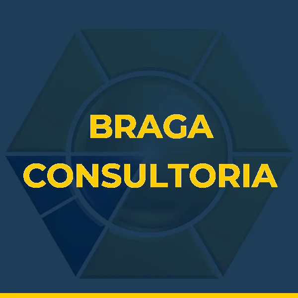 Logo de BRAGA CONSULTORIA EMPRESARIAL LTDA