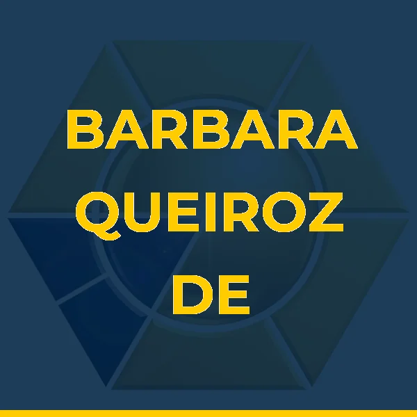 Logo de BARBARA QUEIROZ DE PAULA LTDA
