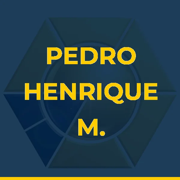 Logo de PEDRO HENRIQUE M. B. LACERDA SERVICOS MEDICOS LTDA