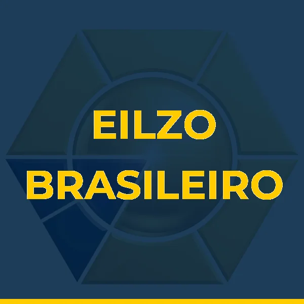 Logo de EILZO BRASILEIRO SERVICOS MEDICOS LTDA