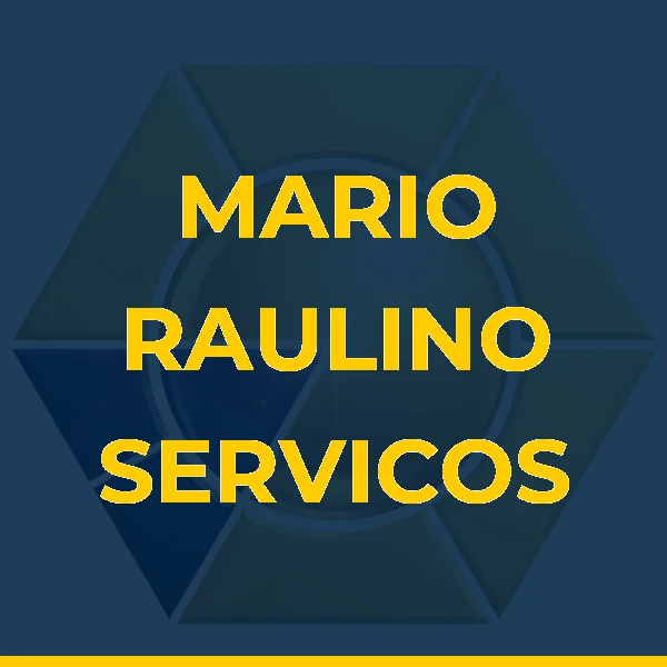 Logo de MARIO FELIPE DE JESUS SIMEAO RAULINO LTDA