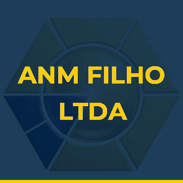 Logo de ANM FILHO LTDA