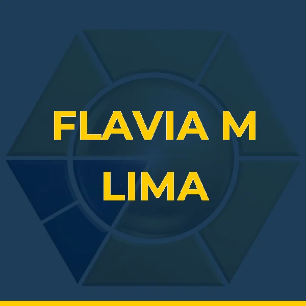 Logo de FLAVIA M LIMA LTDA