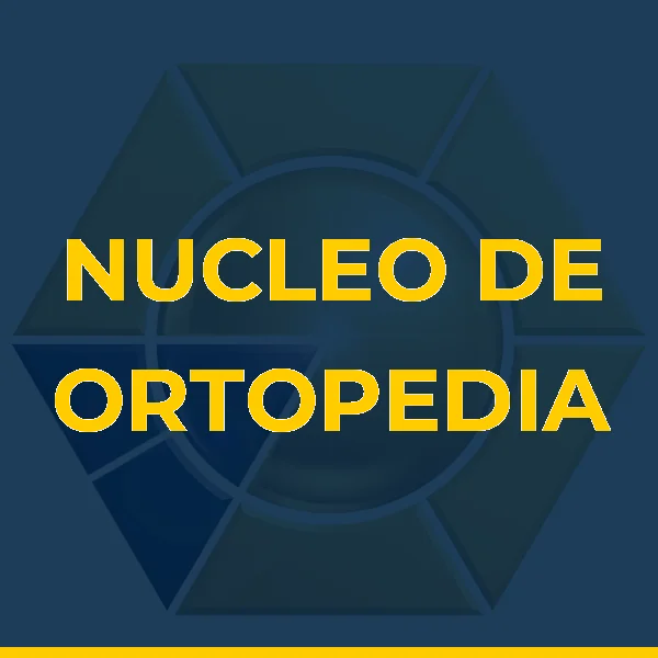 Logo de NUCLEO DE ORTOPEDIA E TRAUMATOLOGIA APLICADAS LTDA