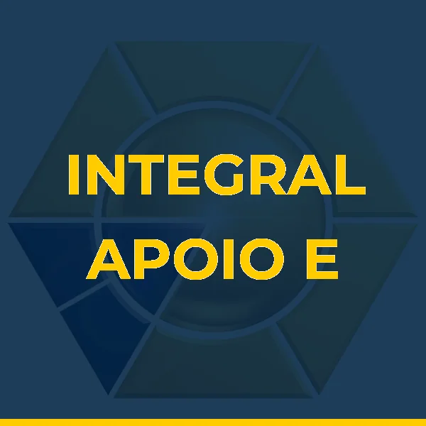 Logo de INTEGRAL APOIO E GESTAO EMPRESARIAL LTDA