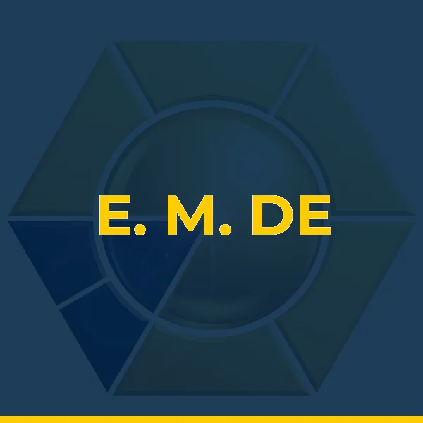 Logo de E. M. DE FRAGA CONSULTORIA EM GESTAO EMPRESARIAL LTDA