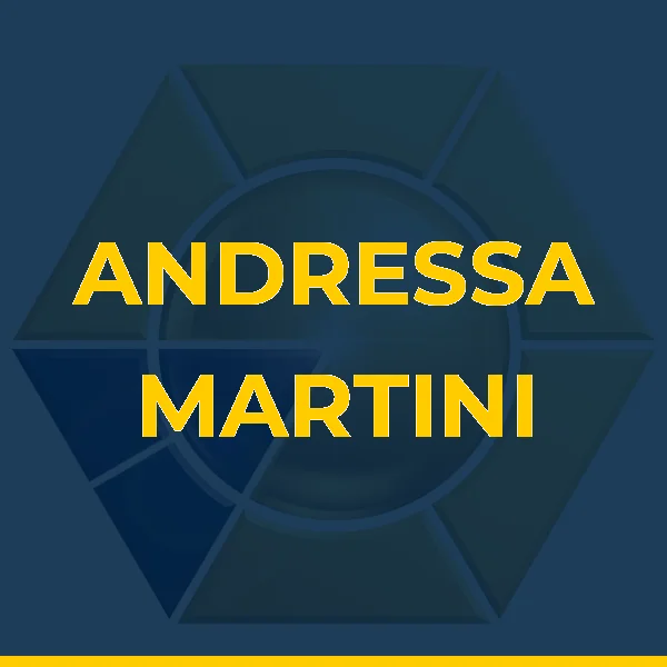 Logo de ANDRESSA DOS SANTOS MARTINI LTDA