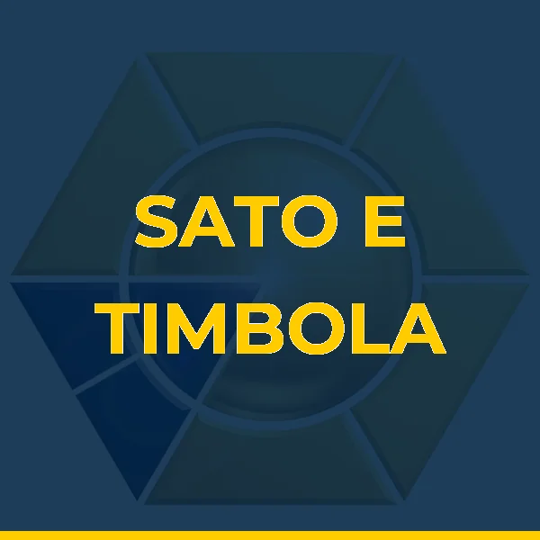 Logo de SATO E TIMBOLA SERVICOS MEDICOS LTDA