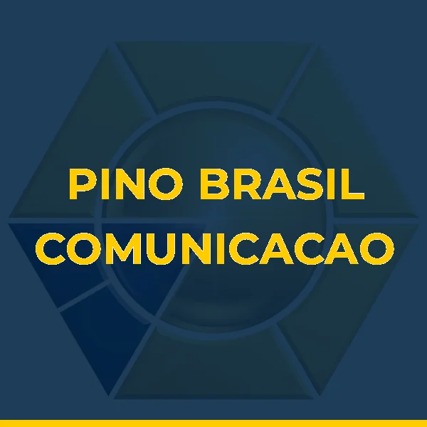 Logo de PINO E BRASIL, MEDICINA E ENSINO EM PROMOCAO DE SAUDE LTDA