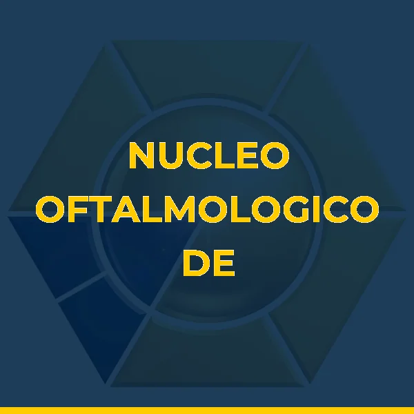 Logo de CLINICA DE OLHOS DR NICHOLAS SILVEIRA LTDA