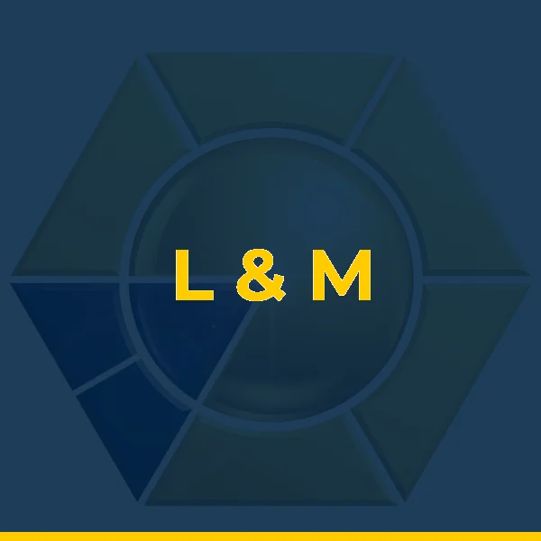 Logo de L & M SERVICOS MEDICOS LTDA