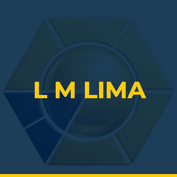 Logo de L M LIMA SERVICOS MEDICOS LTDA