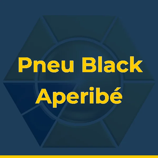 Logo de Pneu Black Aperibé