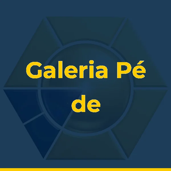Galeria Pé de Boi - Arte Popular Brasileira