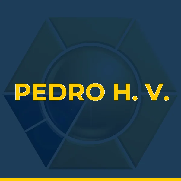 Logo de PEDRO H. V. BRASILEIRO