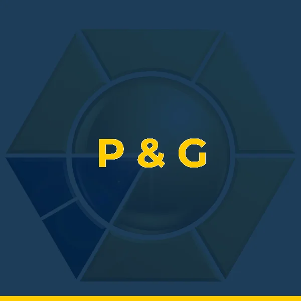 Logo de R. G. DE SOUZA LTDA