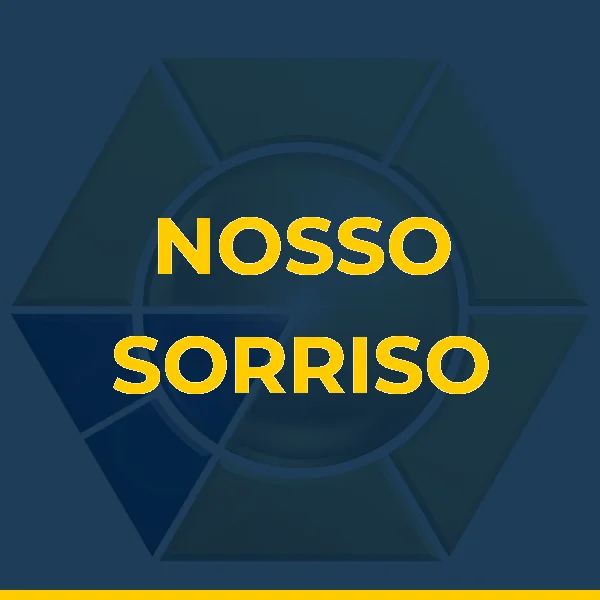 Logo de R DA SILVA DINIZ LIMA LTDA