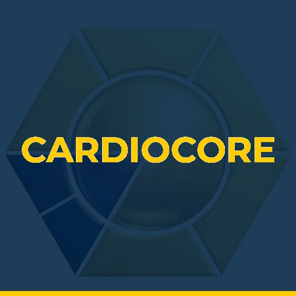 Logo de CARDIOCORE SERVICOS MEDICOS E HOSPITALARES LTDA