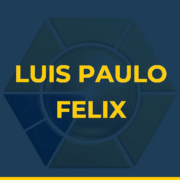 Logo de LUIS PAULO FELIX NOGUEIRA LTDA