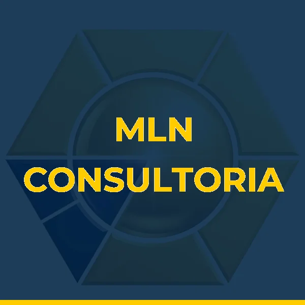Logo de MLN SERVICOS ADMINISTRATIVOS LTDA