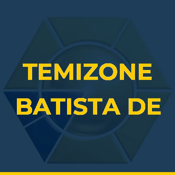 Logo de TEMIZONE BATISTA DE TOLEDO
