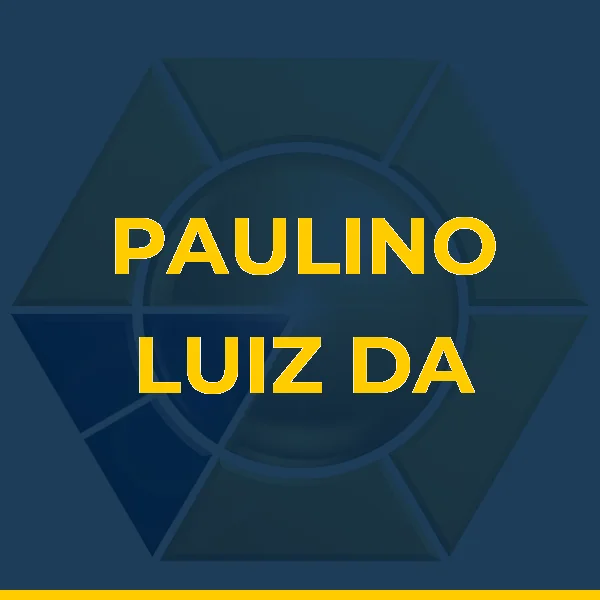 Logo de PAULINO LUIZ DA SILVA