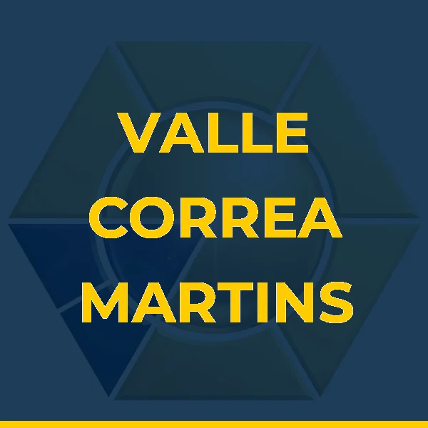Logo de VALLE CORREA MARTINS LTDA