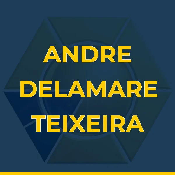 Logo de ANDRE DELAMARE TEIXEIRA