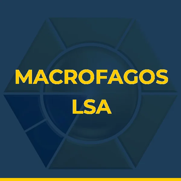 Logo de LAIS S. ALBUQUERQUE MEDIC LTDA