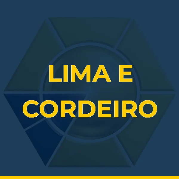 Logo de LIMA E CORDEIRO SERVICOS MEDICOS E ADMINISTRATIVOS LTDA