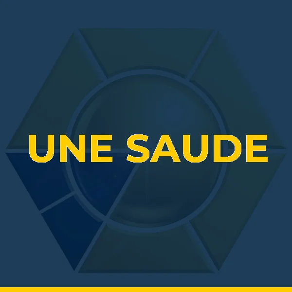 Logo de UNE SAUDE CLINICA MEDICA LTDA
