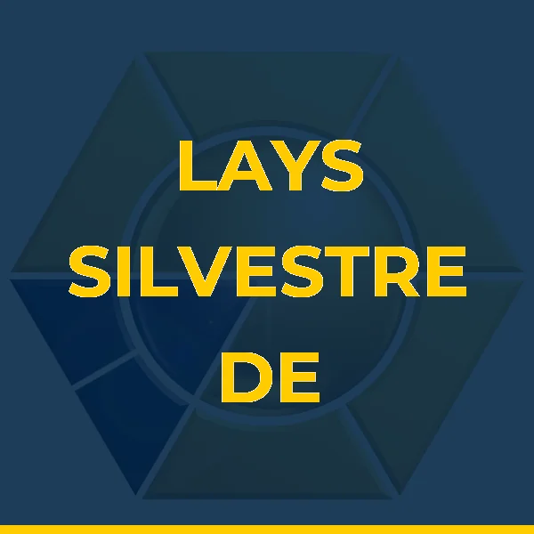 LAYS SILVESTRE DE LIMA