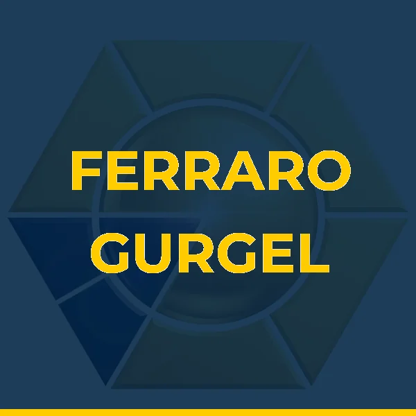 Logo de FERRARO GURGEL GINECOLOGIA LTDA