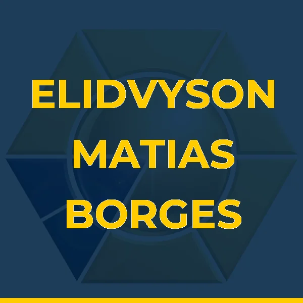 Logo de ELIDVYSON MATIAS BORGES